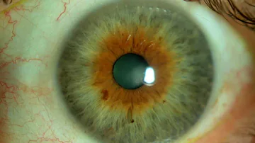 ¿Los ojos avellana pueden volverse más verdes con la edad?