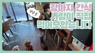 [야미푸드코리아] 강아지 간식, 사람이 먹어보았습니다!/강아지 일상/강아지 브이로그
