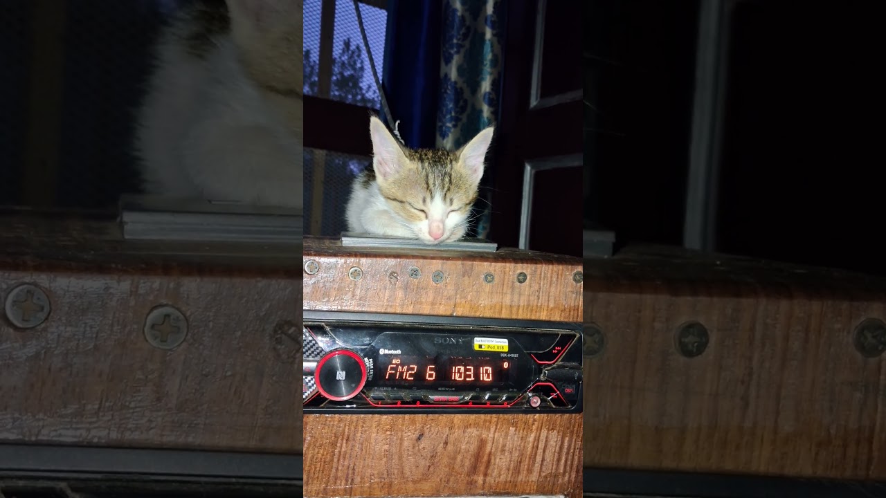 FM Rainbow Loud & Clear – Radio Setup Working Perfectly! 