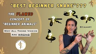 You've Been Misled: What You Need To Know About "Best Beginner Snakes"