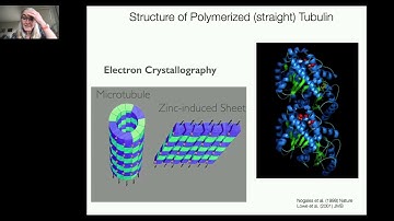 FocalPlane features... Eva Nogales on 