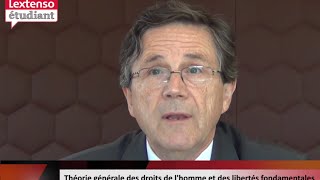 Les libertés fondamentales : théorie générale