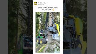This Machine Could Replace Tree Workers Faster Than We Think