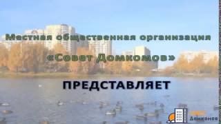 Ролик об экологических проблемах Ленинградской области