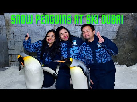 SNOW PENGUINS AT SKI DUBAI | ASHA GALIYAL | SNOW PENGUINS SHOW | UAE SERIES | ASHA GALIYAL VLOG