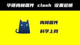 华硕梅林固件 科学上网Clash插件 设置说明 #华硕路由器 #科学上网 #翻墙 #clash #梯子 #VPN