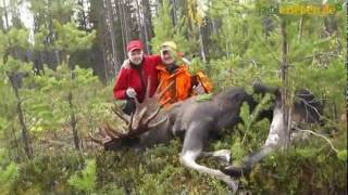 Auf Elchjagd In Karelien