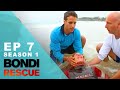 Lost rings and lost children! | Bondi Rescue - Season 1 Episode 7 (OFFICIAL EPISODE UPLOAD)