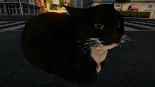 Побег От Maxwell Cat ► В Gmod ► Garry's Mod ► Maxwell Cat ► Мем ► Кот ► Топ