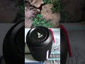 #jbl black 🖤 colour #glitter #boat #jblheadphones