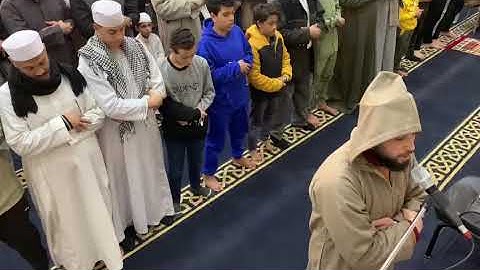 صلاة التراويح رمضان 1446 اول ركعة من الوتر اليوم مسجد عمرو بن العاص ما تيسر من سورة الفجر