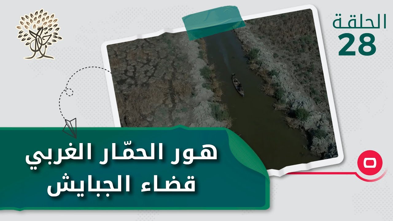 هور الحمّار الغربي، قضاء الجبايش - رحال م٤ - الحلقة ٢٨