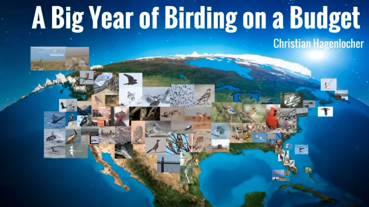 Christian Hagenlocher • A Big Year of Birding on a Budget • 12/14/21