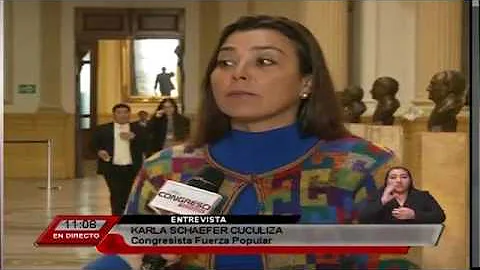Declaraciones de Karla Schaefer