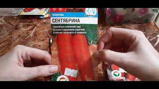 Сорта моркови на 2022год🥕🥕🥕