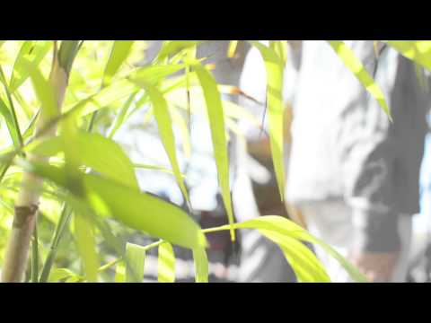 【Uncolors無色症候群】首播主打單曲──《每天》