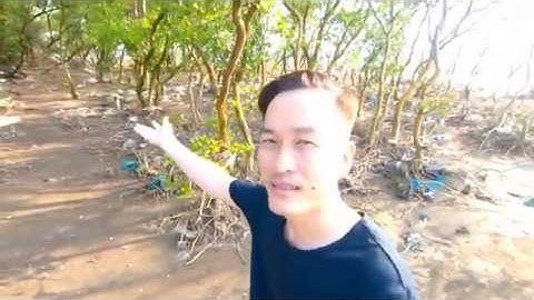 Khám Phá Vùng Biển Hoang Sơ Gần Bãi Tắm Tân Thành Gò Công Tiền Giang