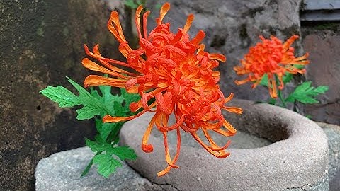 ABC TV | How To Make Spider Chrysanthemum Flower With Crepe Paper #1 - Craft Tutorial