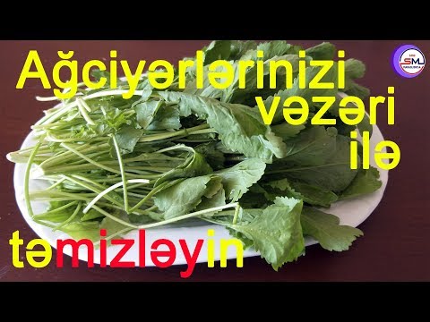 Video: Bitkilərin Faydalı Təsirləri. 5 -ci Hissə