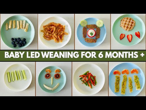 Baby Led Weaning