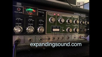 Free Ableton Instruments - Tape Echo Synths built using the Roland Chorus Echo and Crumar Stratus