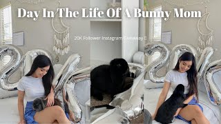 Day In The Life Of A Bunny Mom | 20K Giveaway! by Dumbo and Bear 820 views 2 years ago 10 minutes, 28 seconds