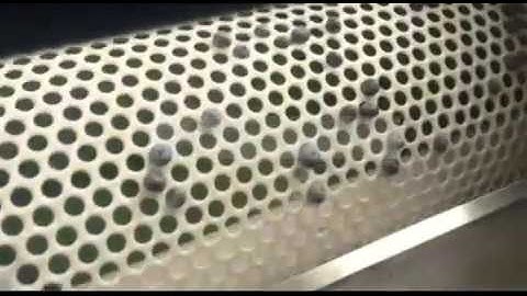 blueberry sorting machine 、sorter、grader、classifier