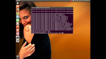Installare JDownloader su Ubuntu 11.10