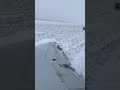 Plane slides off runway at Chicago airport during snowstorm | ABC7