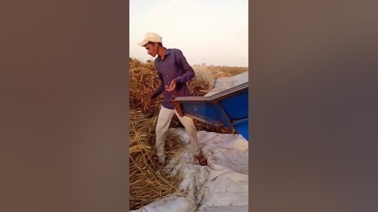 halar shorts gehu ki machine cutter machine machine thresher