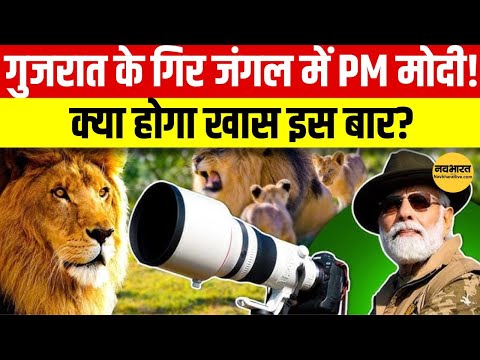 PM Modi करेंगे Sasan Gir Safari! World Wildlife Day पर शेरों के बीच खास आयोजन