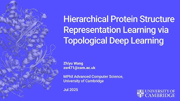 Hierarchical Protein Structure Representation Learning via Topological Deep Learning