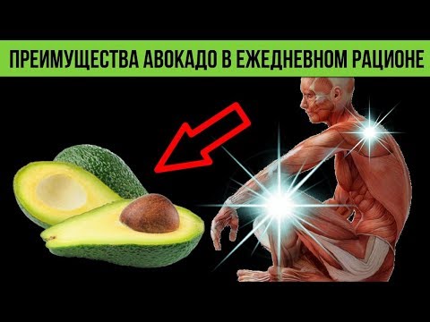 Почему стоит есть Авокадо Каждый день Как положительно влияет Авокадо на Организм человека