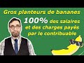 Gros planteurs de bananes  100 des salaires et des charges pays par le contribuable