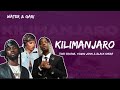 Tiwa Savage - Kilimanjaro ft. Young Jonn & Black Sherif (lyrics video)