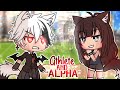 The Alpha And The Badass Athlete || Glmm || Original || Gachalife ||