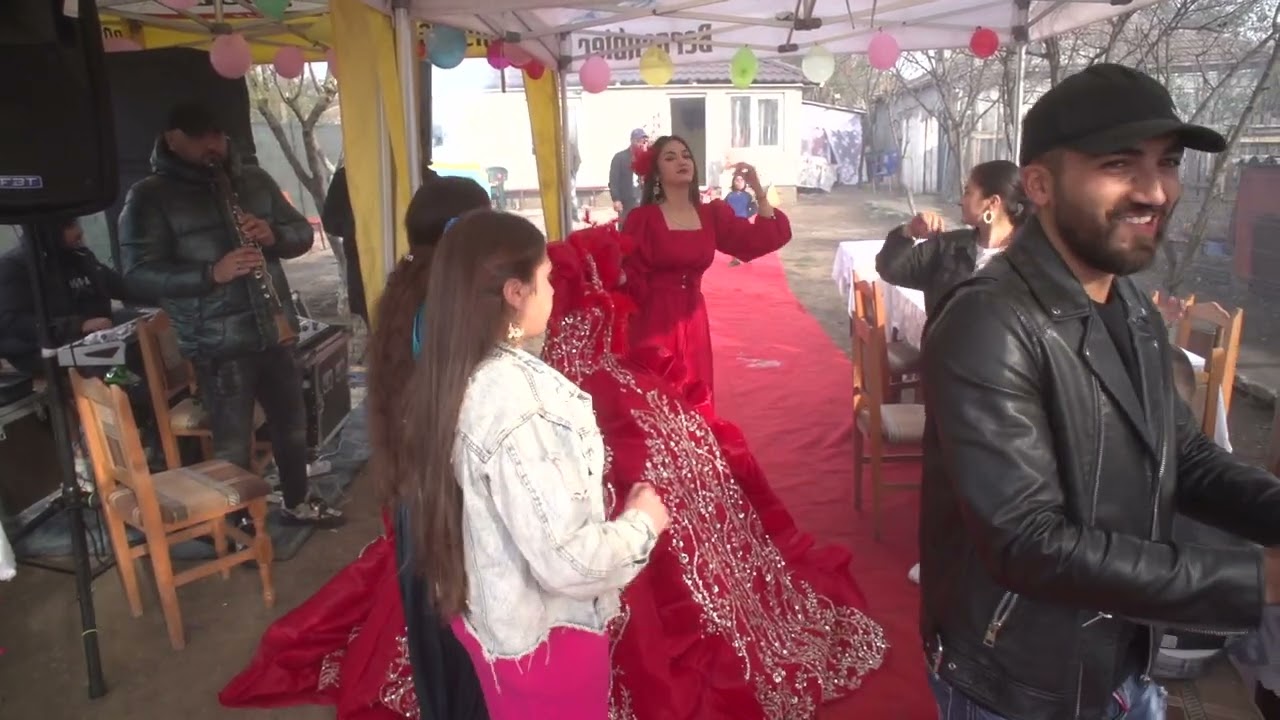 logodna mamut și melisa ovidiu