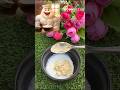 Rice Flour, Gram Flour &amp; Curd Face Pack for Instant Glow ✨ | 100% Natural Skin Whitening Remedy