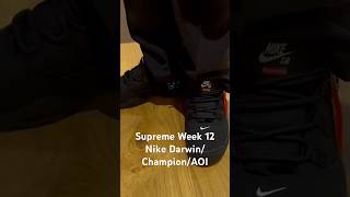 Supreme Week 12 Nike Darwin/Champion/AOI SS24 Season @Supreme @nike @champion #supreme #2024