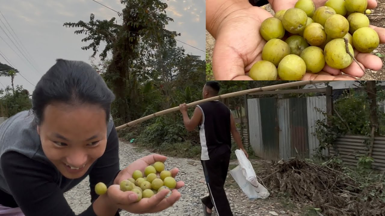 A day, with my cute family || Arunachal Pradesh ❣️