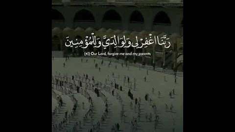 خالد الجليل حاله واتس أب قران كريم بدون حقوق [راحه نفسيه 😌]