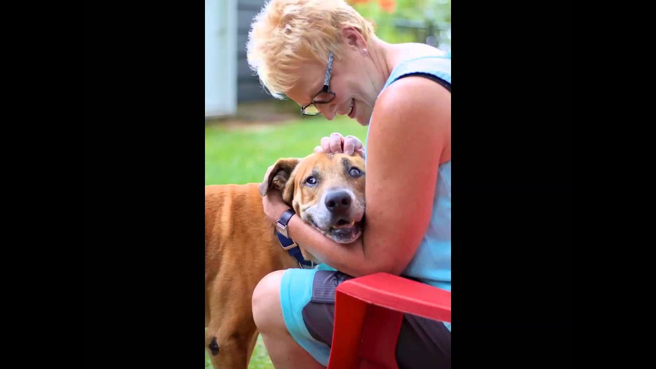 silver muzzle dog rescue and hospice program