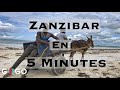 Zanzibar en 5 minutes