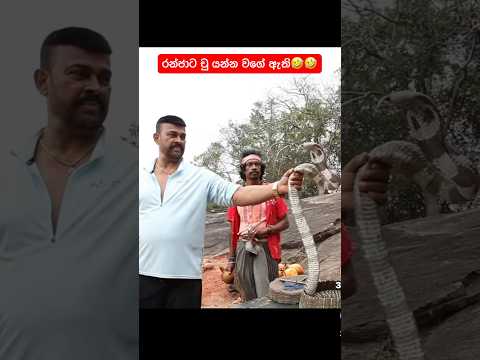 🤣🤣🤣#shortsfeed #viral #trending #youtubeshorts #shorts #short #shortvideo #shortfeed #shortvideos thumbnail