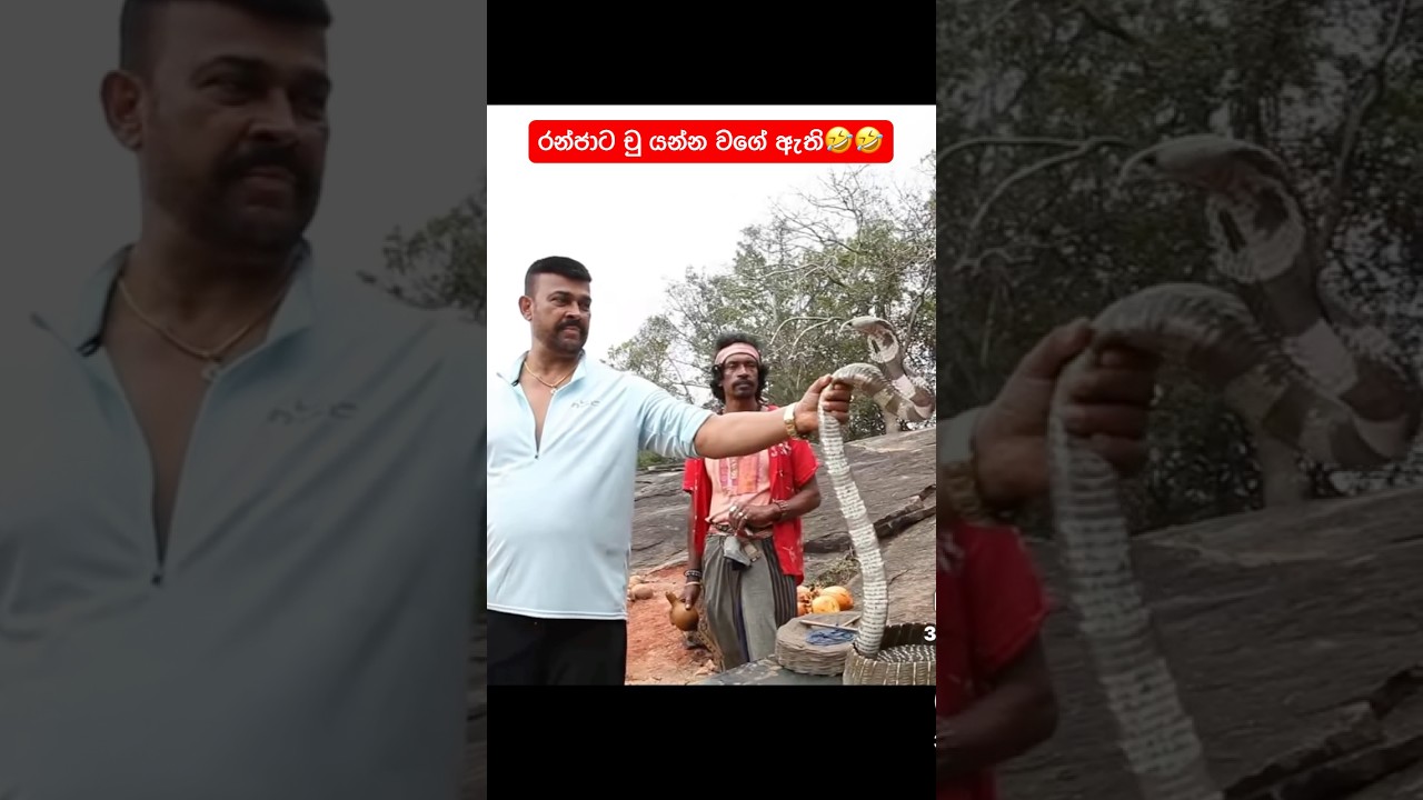 🤣🤣🤣#shortsfeed #viral #trending #youtubeshorts #shorts #short #shortvideo #shortfeed #shortvideos