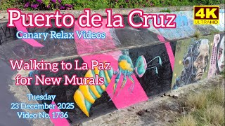 Tenerife Puerto De La Cruz Walking To La Paz For New Murals