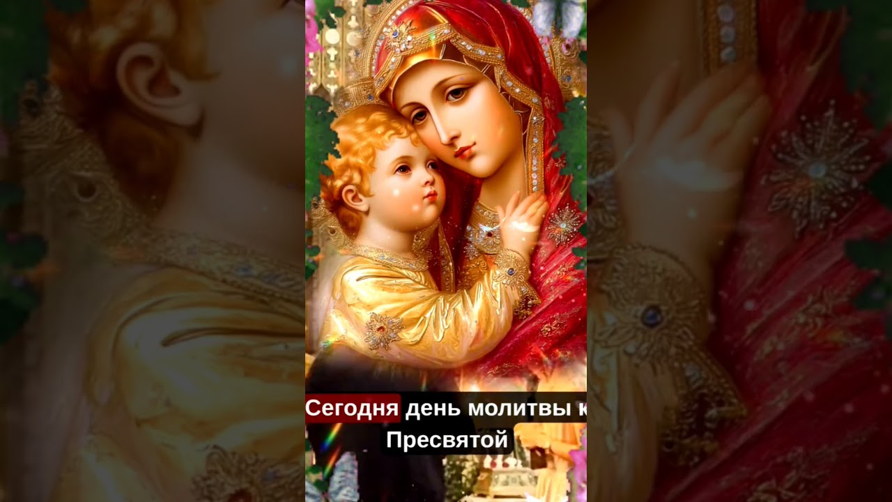 🤍🕊️ Дopoгue мou, для вac дoбpoe πocлaнue 🕊️🤍 Bo блaгo вceм, дopoгue мou coлнышкu 🌞🌻