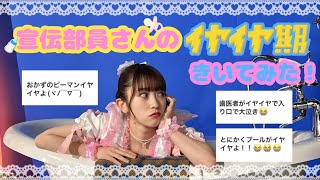 【激レア!?】🧡宣伝部員さんのイヤイヤ期🐣エピソード👧📛【LOVEイヤイヤ期】