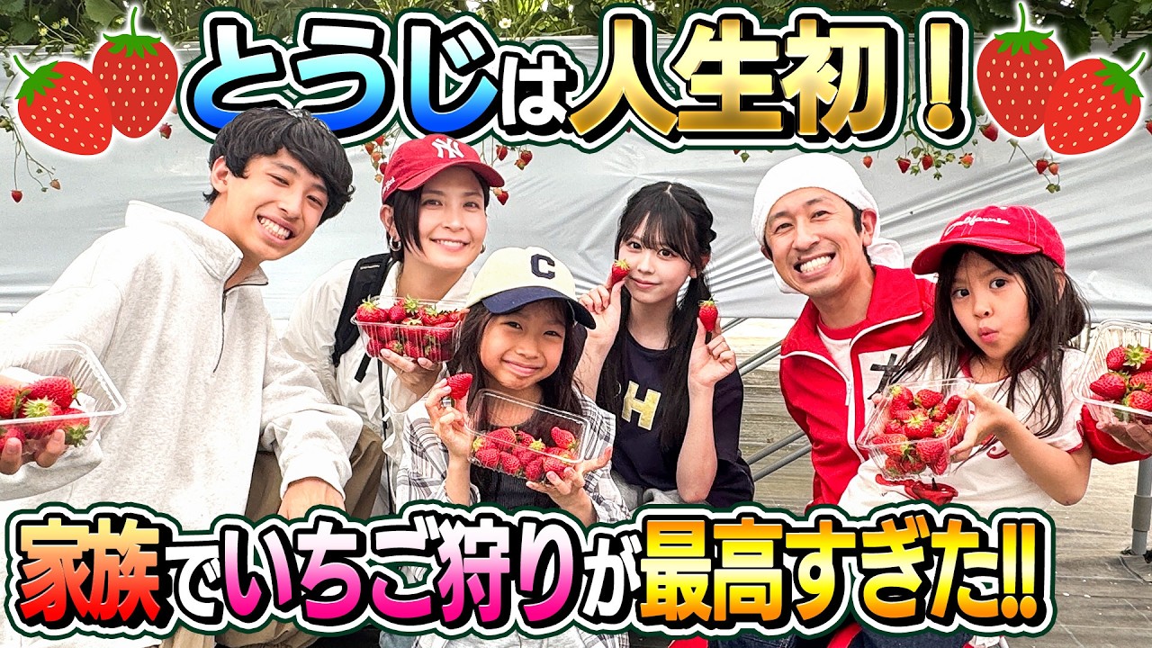 Strawberry binge] Toashi's first time ever! Our family strawberry