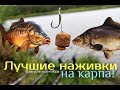 Наживки на карпа в августе и сентябре!